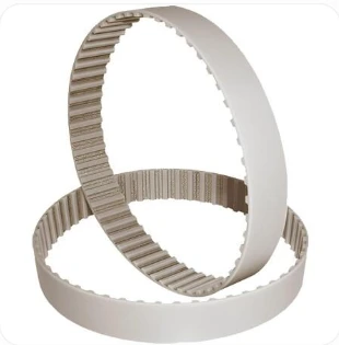 T10 transport belt